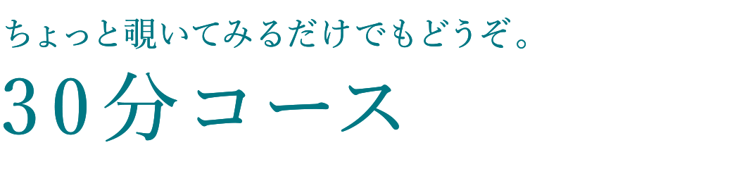 ちょっと覗いてみるだけでもどうぞ。30分コース