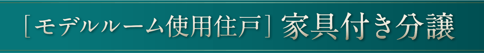 ［モデルルーム使用住戸］家具付き分譲
