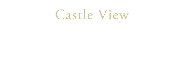 松山のシンボルを眺める暮らし 松山城VIEW